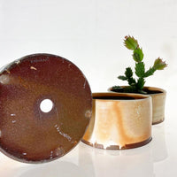 Bonsai pot/Flower pot