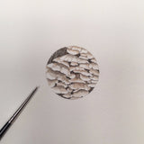 Mushroom Series Miniature Painting of Oyster by Brooke Rothshank